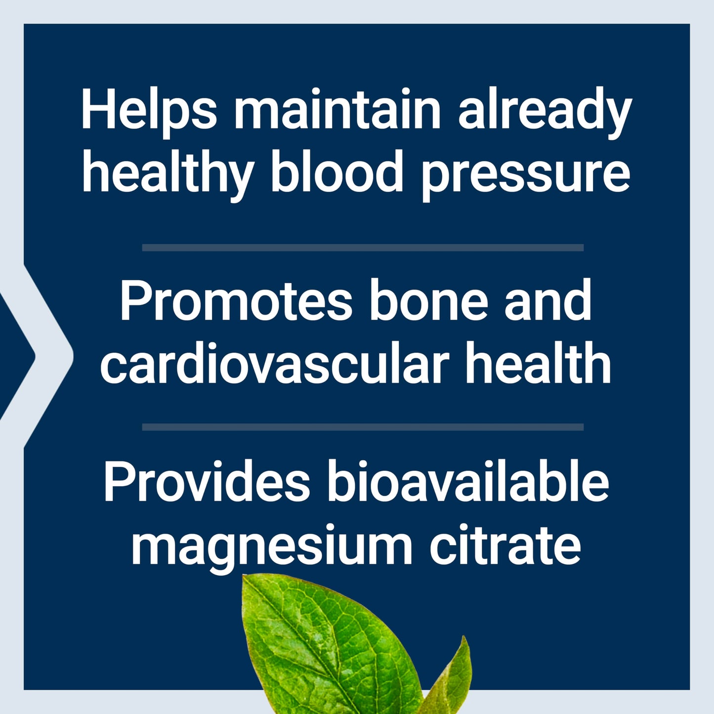 Life Extension Magnesium Citrate 100 mg Vegetarian Capsules, Blue, 100 Count