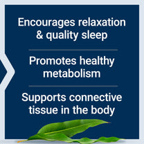 Life Extension Glycine, 1000 mg, Amino Acid that Promotes Healthy Sleep, Gluten-Free, Non-GMO, Vegetarian, 100 Capsules
