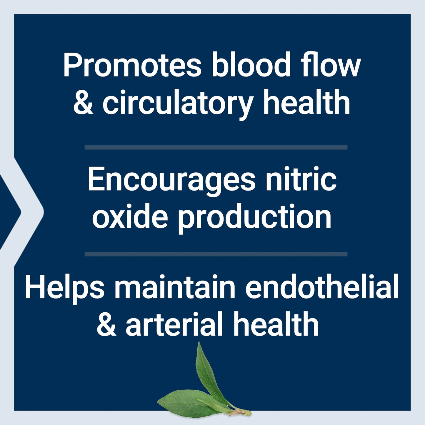 Life Extension NitroVasc Boost, Nitric Oxide Support, 30 Servings