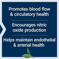 Life Extension NitroVasc Boost, Nitric Oxide Support, 30 Servings