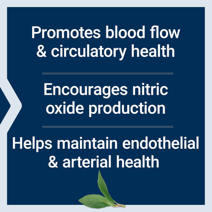 Life Extension NitroVasc Boost, Nitric Oxide Support, 30 Servings