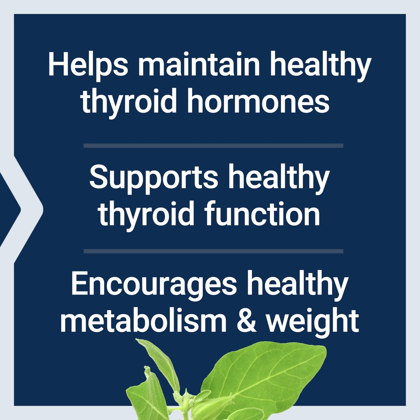 Life Extension Thyroid Support Complex, 60 Capsules