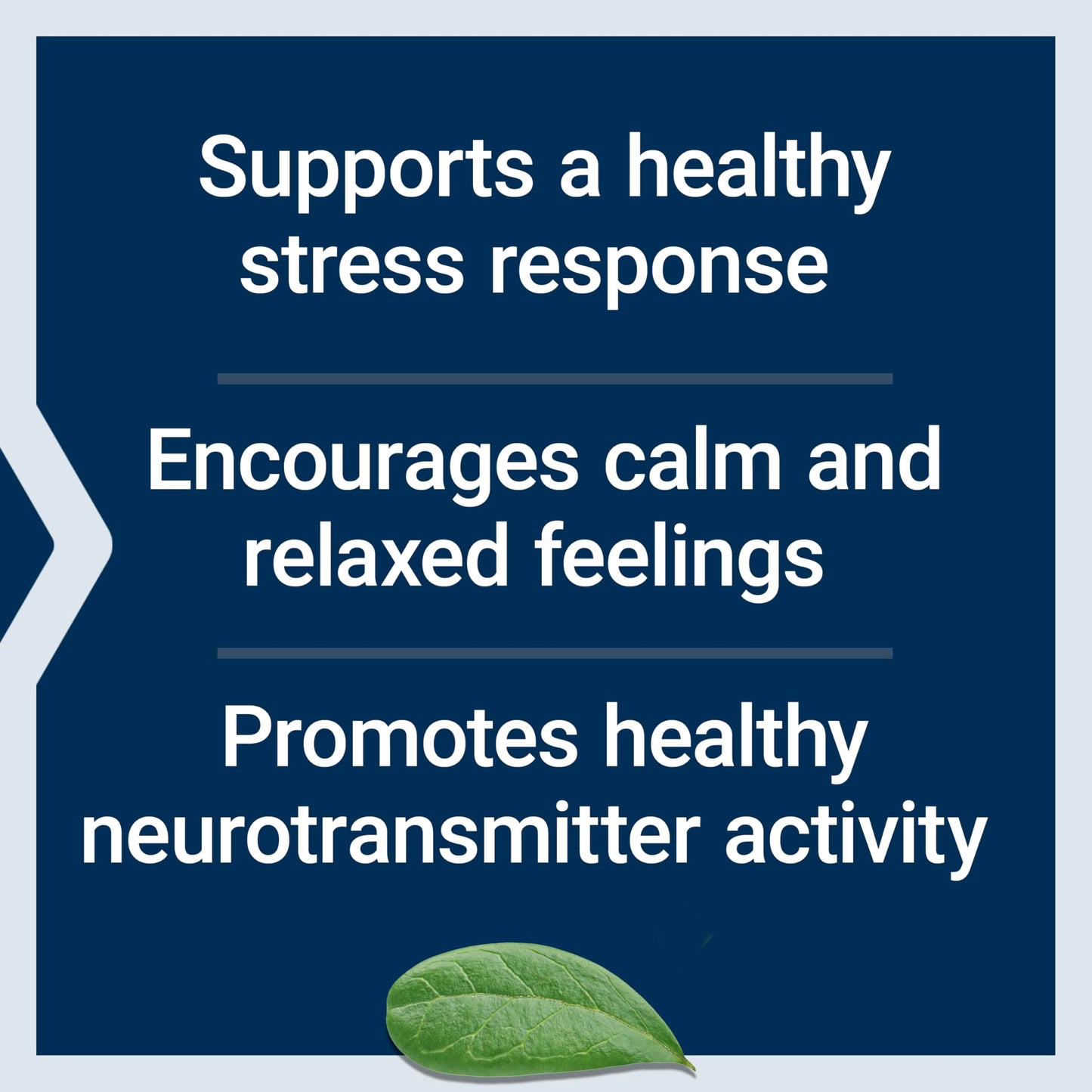 Life Extension Calm-Mag, Magnesium Acetyl taurinate, Daily Stress Management Formula, Supports Calmness and Relaxation, Gluten-Free, Non-GMO, Vegetarian, 30 Capsules