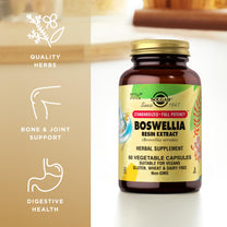 SFP Boswellia Resin Extract Solgar 60 VCaps