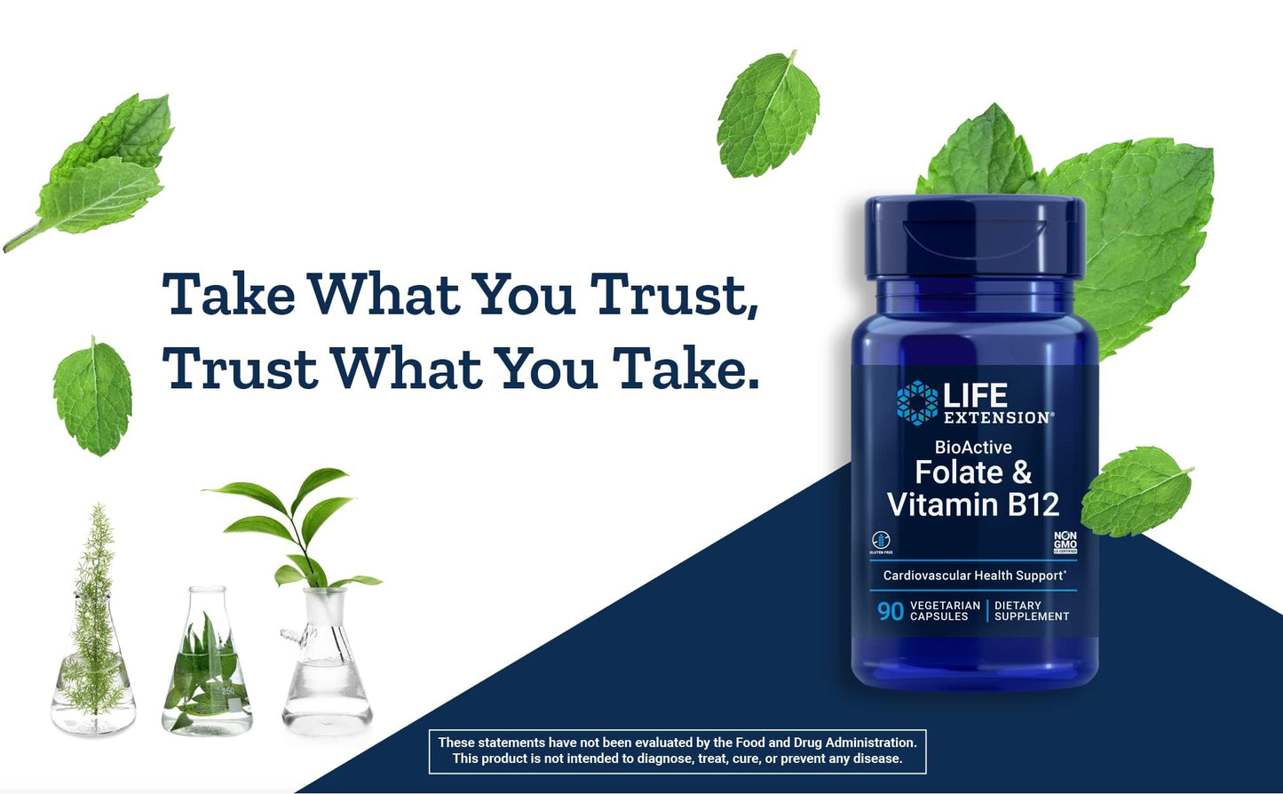 Life Extension BioActive Folate & Vitamin B12, 150 Vegetarian Capsules (Pack of 2), Non GMO, Gluten Free