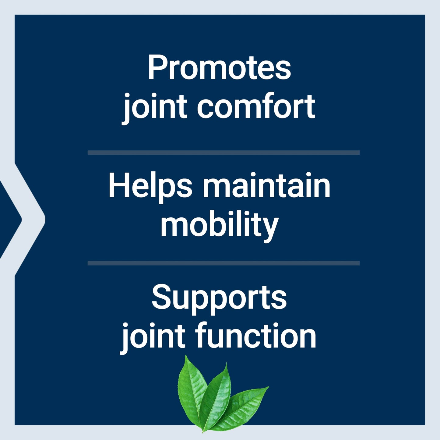 Life Extension Arthro-Immune Joint Support, Curcumin Elite™ Turmeric Extract, Andrographis paniculata, Supports Mobility and Flexibility, Vegetarian, Gluten Free, Non-GMO, 60 Capsules