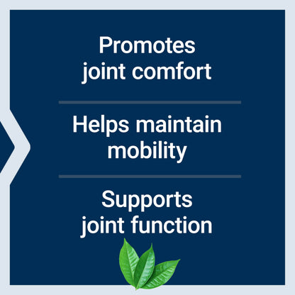 Life Extension Arthro-Immune Joint Support, Curcumin Elite™ Turmeric Extract, Andrographis paniculata, Supports Mobility and Flexibility, Vegetarian, Gluten Free, Non-GMO, 60 Capsules
