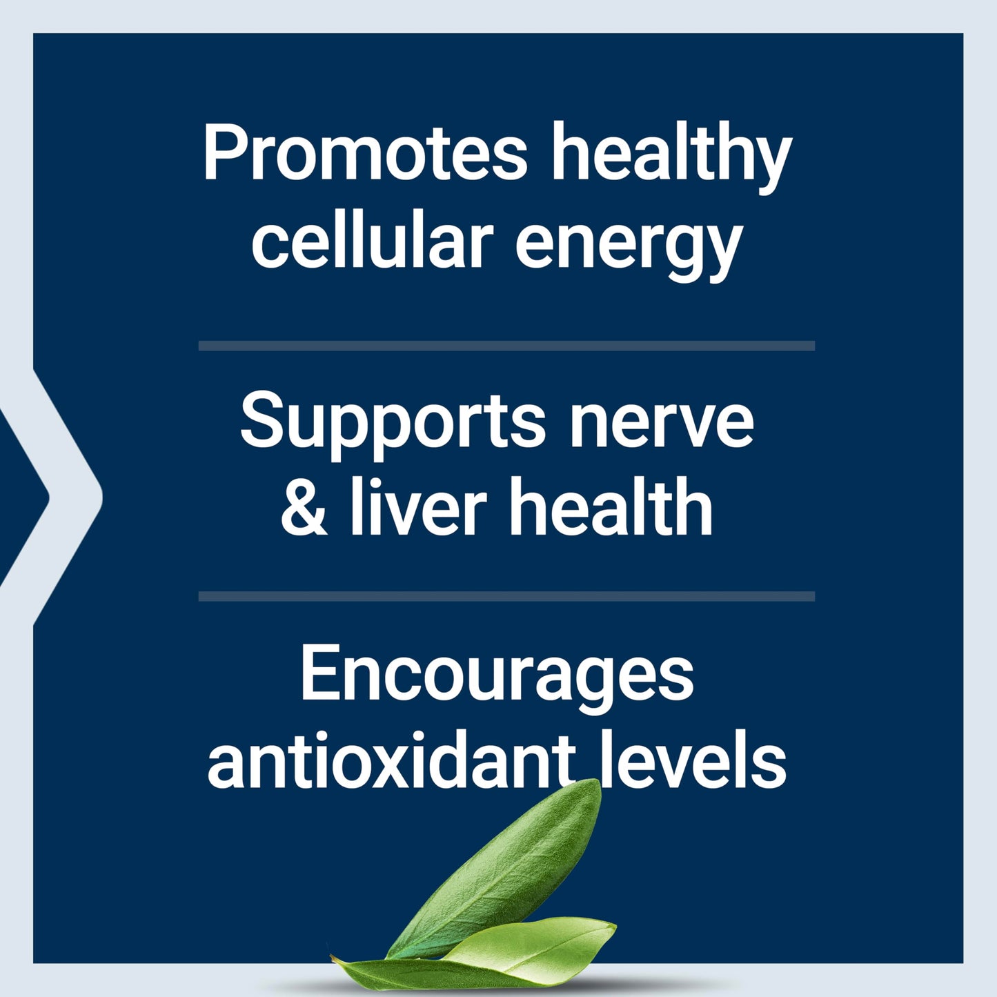 Life Extension Alpha-Lipoic Acid with Biotin, for Cell Protection, Universal antioxidant for Liver & Nerve Health, Gluten-Free, Non-GMO, 60 Capsules