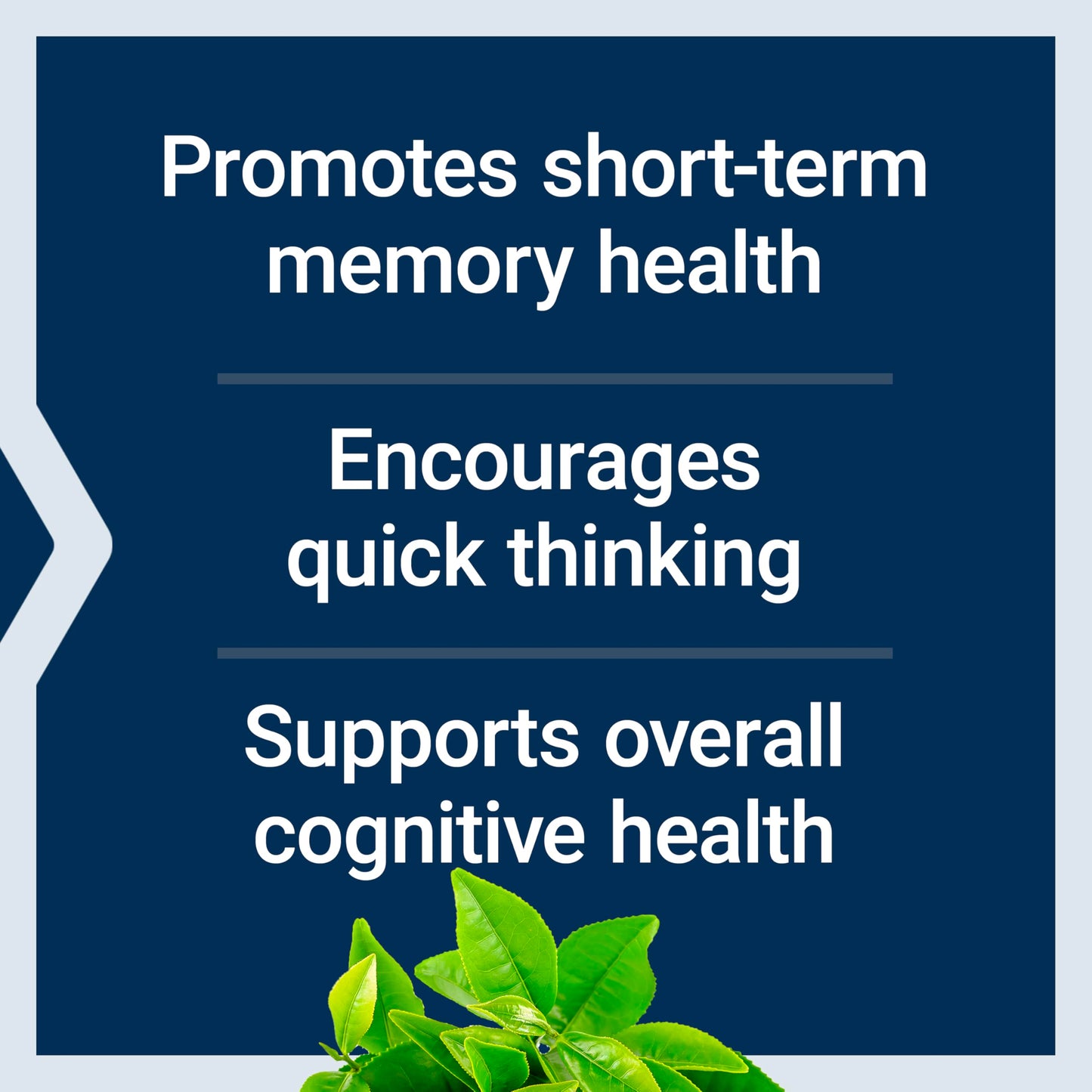 Life Extension Neuro-Mag Magnesium L-Threonate, 90 Vegetarian Capsules