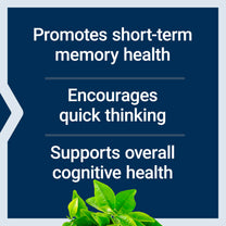 Life Extension Neuro-Mag Magnesium L-Threonate, 90 Vegetarian Capsules
