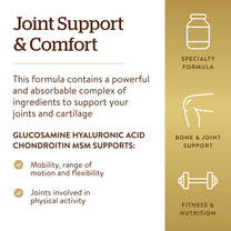 Solgar Glucosamine Hyaluronic Acid Chondroitin MSM, 60 Tablets