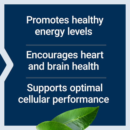 Life Extension L-Carnitine – 500 mg, Energy Supplement, Memory Supplement – Free Form Amino Acid, Nitric Oxide Support, Healthy Blood Pressure – Gluten-Free, Non-GMO, Vegetarian – 30 Capsules
