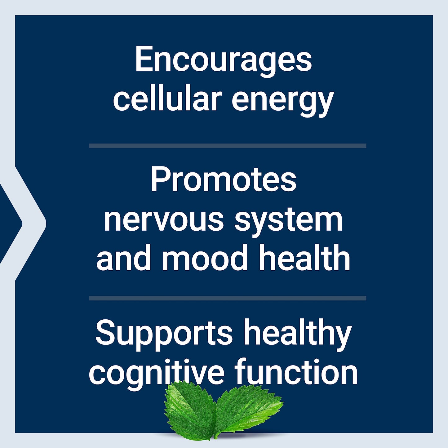 Life Extension Acetyl-L-Carnitine, Acetyl-L-Carnitine, Vitamin C, Brain, Mood & Nerve Health, Cellular Energy, Gluten-Free, Non-GMO, Vegetarian, 100 Capsules