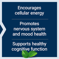Life Extension Acetyl-L-Carnitine, Acetyl-L-Carnitine, Vitamin C, Brain, Mood & Nerve Health, Cellular Energy, Gluten-Free, Non-GMO, Vegetarian, 100 Capsules