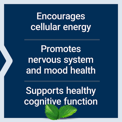 Life Extension Acetyl-L-Carnitine, Acetyl-L-Carnitine, Vitamin C, Brain, Mood & Nerve Health, Cellular Energy, Gluten-Free, Non-GMO, Vegetarian, 100 Capsules