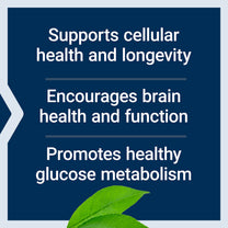Life Extension Bio-Fisetin, Fisetin, galactomannans from Fenugreek Seed, Cellular Health, Cognitive Health, Longevity, Gluten-Free, Vegetarian, Non-GMO, 30 Vegetarian Capsules