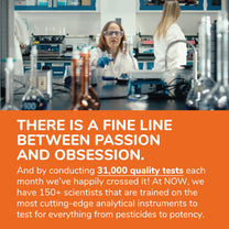 Now Foods Supplements, D-Mannose 500 mg, Non-GMO Project Verified, Healthy Urinary Tract*, 60 Veg Capsules