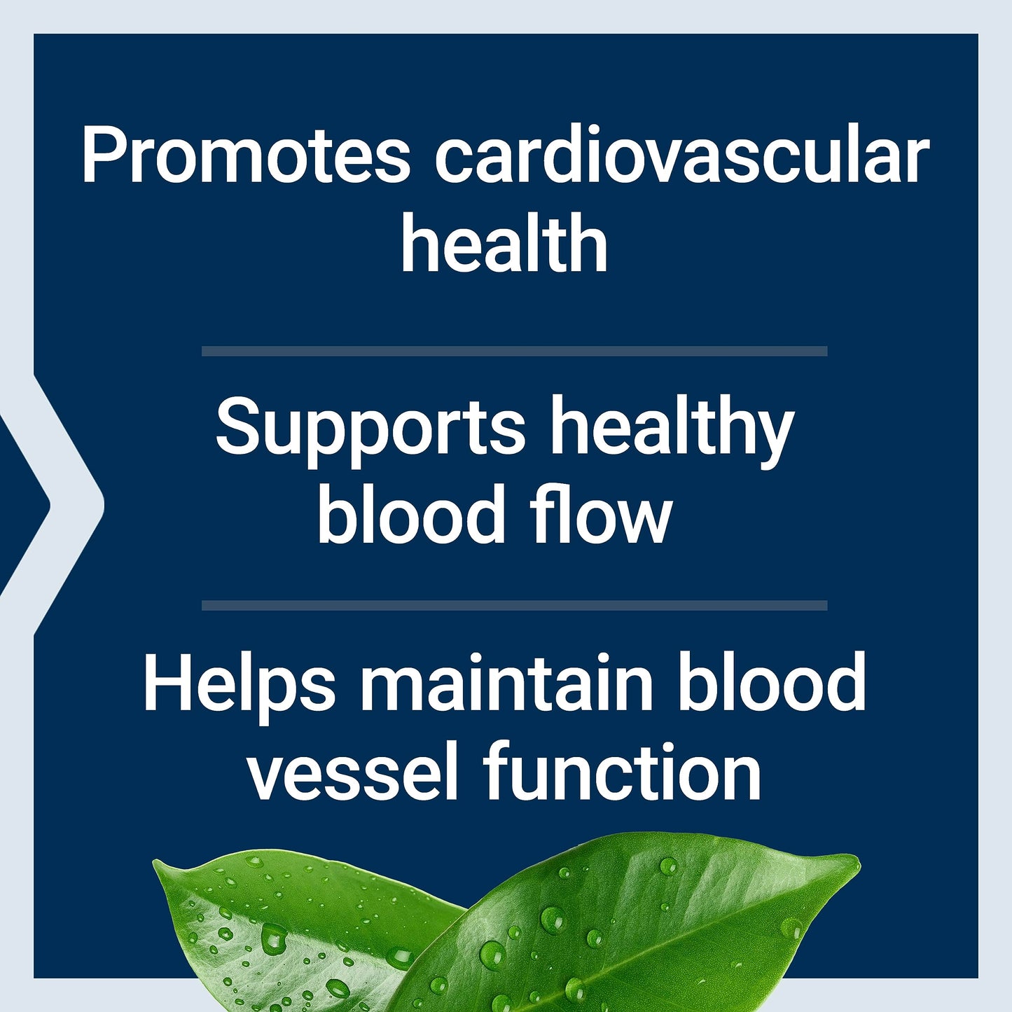 Life Extension Potassium with Extend-Release Magnesium – Heart Health Supplement for Blood Pressure Support with Two Essential Minerals – Non-GMO, Vegetarian, Gluten-Free – 60 Capsules