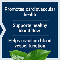 Life Extension Potassium with Extend-Release Magnesium – Heart Health Supplement for Blood Pressure Support with Two Essential Minerals – Non-GMO, Vegetarian, Gluten-Free – 60 Capsules