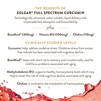 Solgar Full Spectrum Curcumin Brain Works, 90 Licaps, 30 Servings - Non-GMO