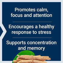 Life Extension Ashwagandha Plus Calm and Focus, 60 Vegetarian Capsules