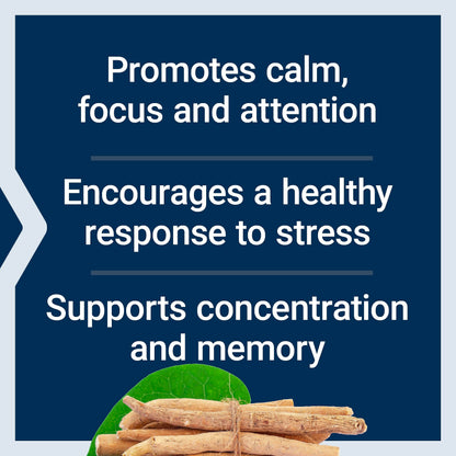 Life Extension Ashwagandha Plus Calm and Focus, 60 Vegetarian Capsules