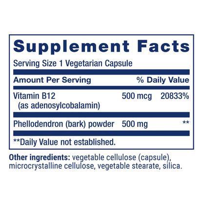 Life Extension Dopamine Advantage, Cognitive Health, Mental Sharpness, Motivation, Vitamin B12, phellodendron bark Powder, Gluten Free, Non-GMO, Vegetarian, 30 Capsules