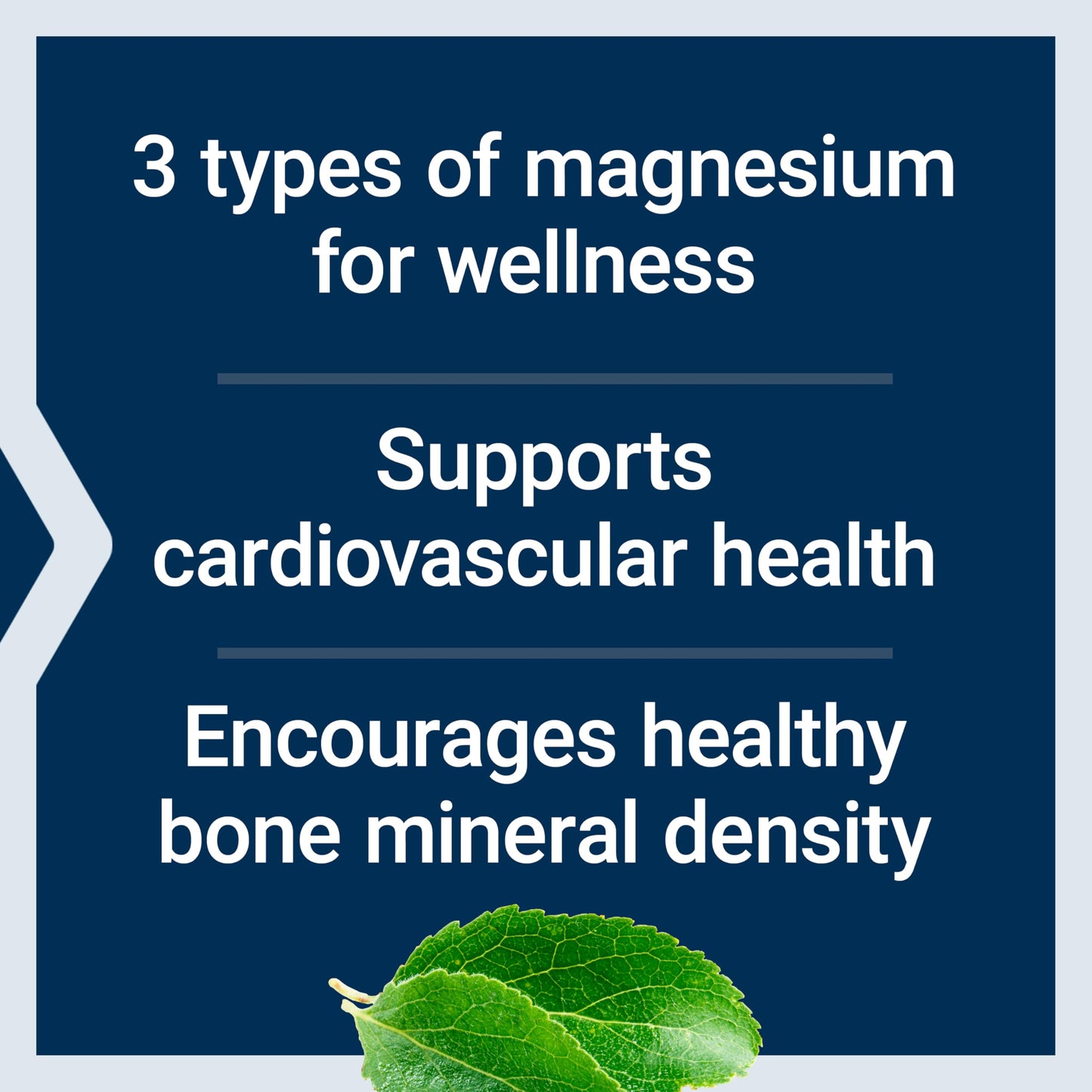 Life Extension Magnesium Caps, 500 mg, Magnesium Oxide, Citrate, and Succinate, Heart Health, Healthy Bones, Metabolism Support, 100 Vegetarian Capsules