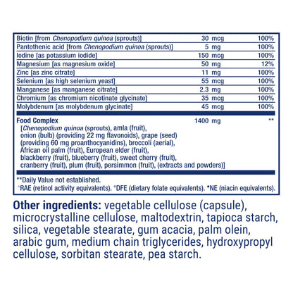 Life Extension Whole Food Multivitamin, Plant-derived Vitamin D3, A, B, C & E, Plus Minerals, Plant extracts, Stay Healthy from Head to Toe, Gluten-Free, Non-GMO, Vegetarian, 90 Capsules