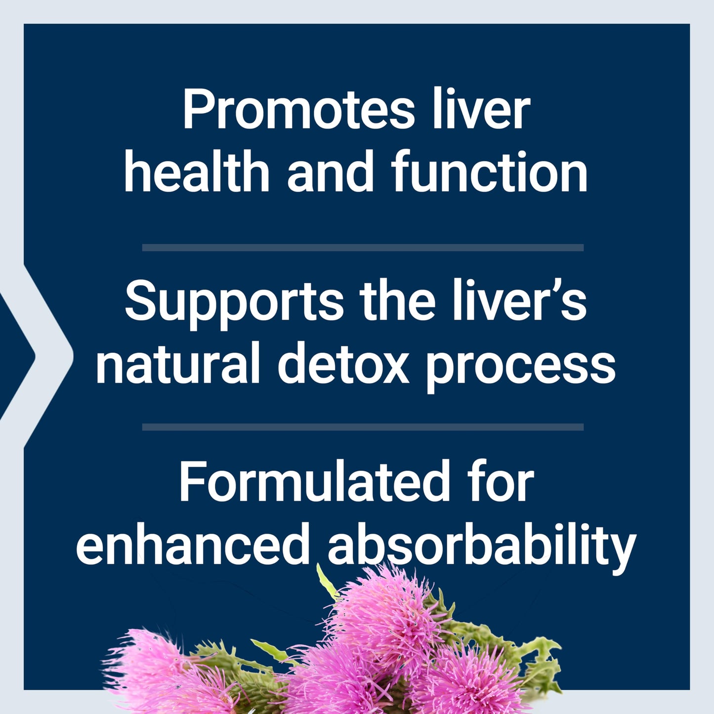 Life Extension Advanced Milk Thistle, Silymarin, 120 Softgels