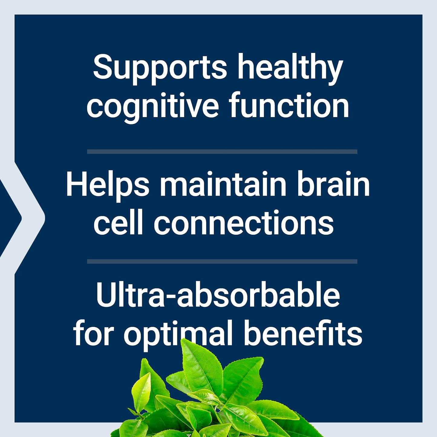 Life Extension Neuro-Mag Magnesium L-Threonate, Memory Health, Quick Thinking, Cognitive Health Support, Vegetarian, Non-GMO, 90 Vegetarian Capsules (144 mg from 2000 mg Magtein Magnesium (Pack of 2)