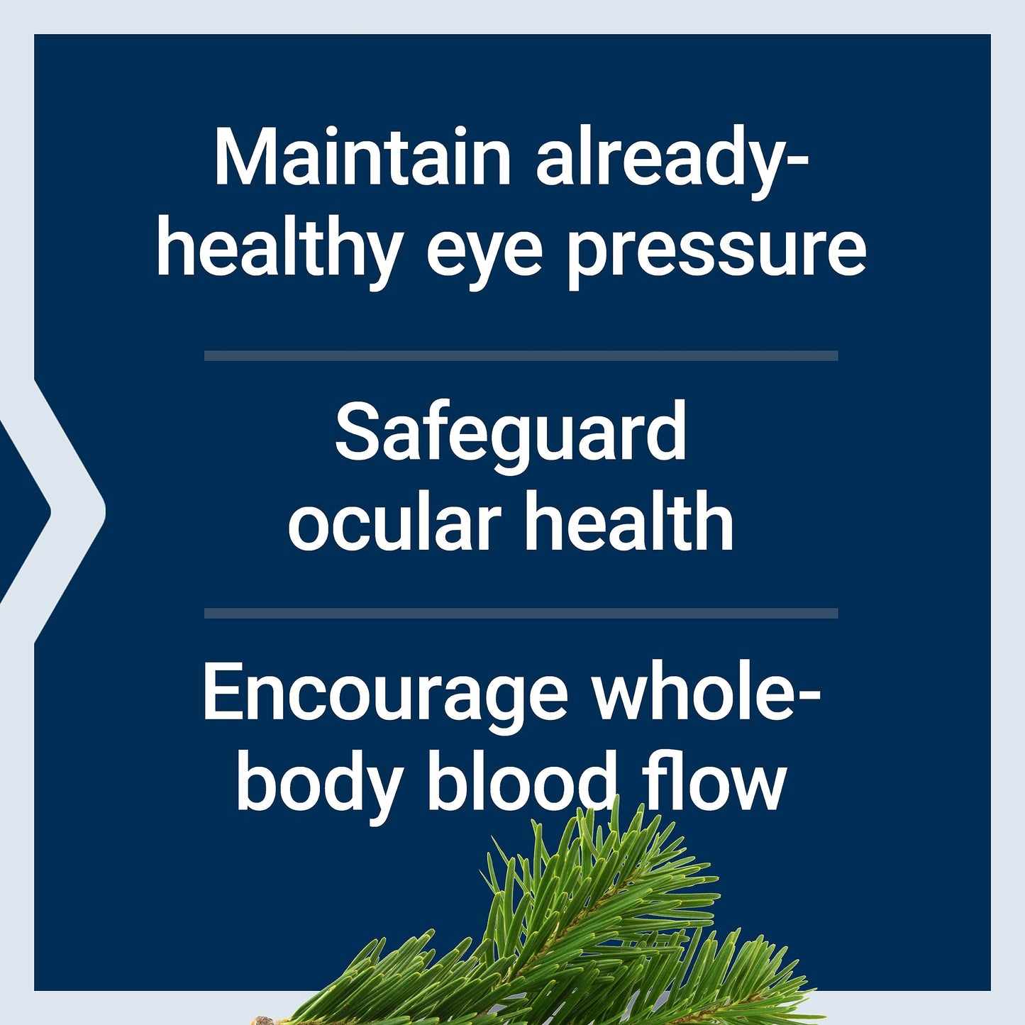 Life Extension Eye Pressure Support with Mirtogenol, 30 Capsules