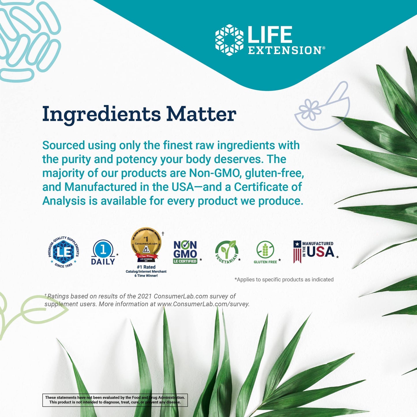 Life Extension TMG 500mg, 100 Liquid Veg Caps - Trimethylglycine (Glycine Betaine) Supplement - Gluten Free, Non-GMO, Vegetarian