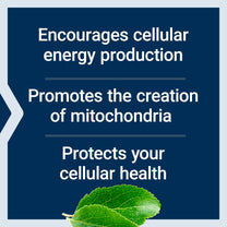Life Extension Mitochondrial Energy Optimizer with PQQ - Energy Supplement for Healthy Mitochondria - With Taurine, Vitamin B, Pyrroloquinoline Quinone - Gluten-Free, Non-GMO - 120 Vegetarian Capsules