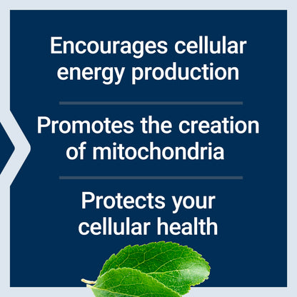 Life Extension Mitochondrial Energy Optimizer with PQQ - Energy Supplement for Healthy Mitochondria - With Taurine, Vitamin B, Pyrroloquinoline Quinone - Gluten-Free, Non-GMO - 120 Vegetarian Capsules